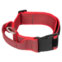 Julius K-9 Collar 50 Mm Hundehalsbånd Julius K-9 Collar 50 Mm Hundehalsbånd