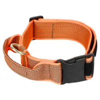 Julius K-9 Collar 50 Mm Hundehalsbånd Julius K-9 Collar 50 Mm Hundehalsbånd