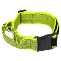 Julius K-9 Collar 50 Mm Hundehalsbånd