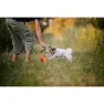 Julius K-9 Multifunksjonsmotivator, Orange, 14mm x 5m
