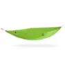 Aloe green