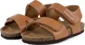 Light brown