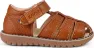 Light brown 1
