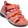 Coral/poppy red
