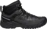 Triple black