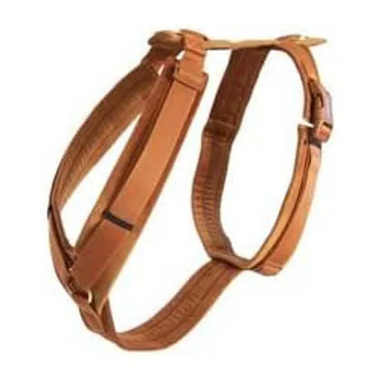 Kentucky Active Velvet Hundesele Kentucky Active Velvet Hundesele