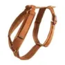 Kentucky Active Velvet Hundesele