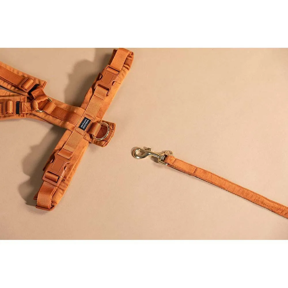 Kentucky Active Velvet Hundesele Kentucky Active Velvet Hundesele