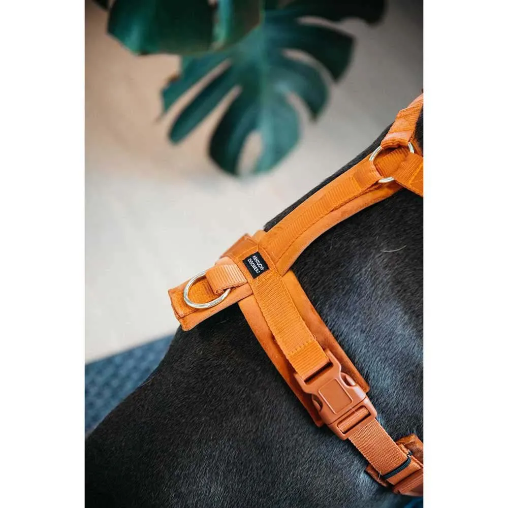 Kentucky Active Velvet Hundesele Kentucky Active Velvet Hundesele