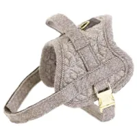 Kentucky Body Safe Hundesele Kentucky Body Safe Hundesele