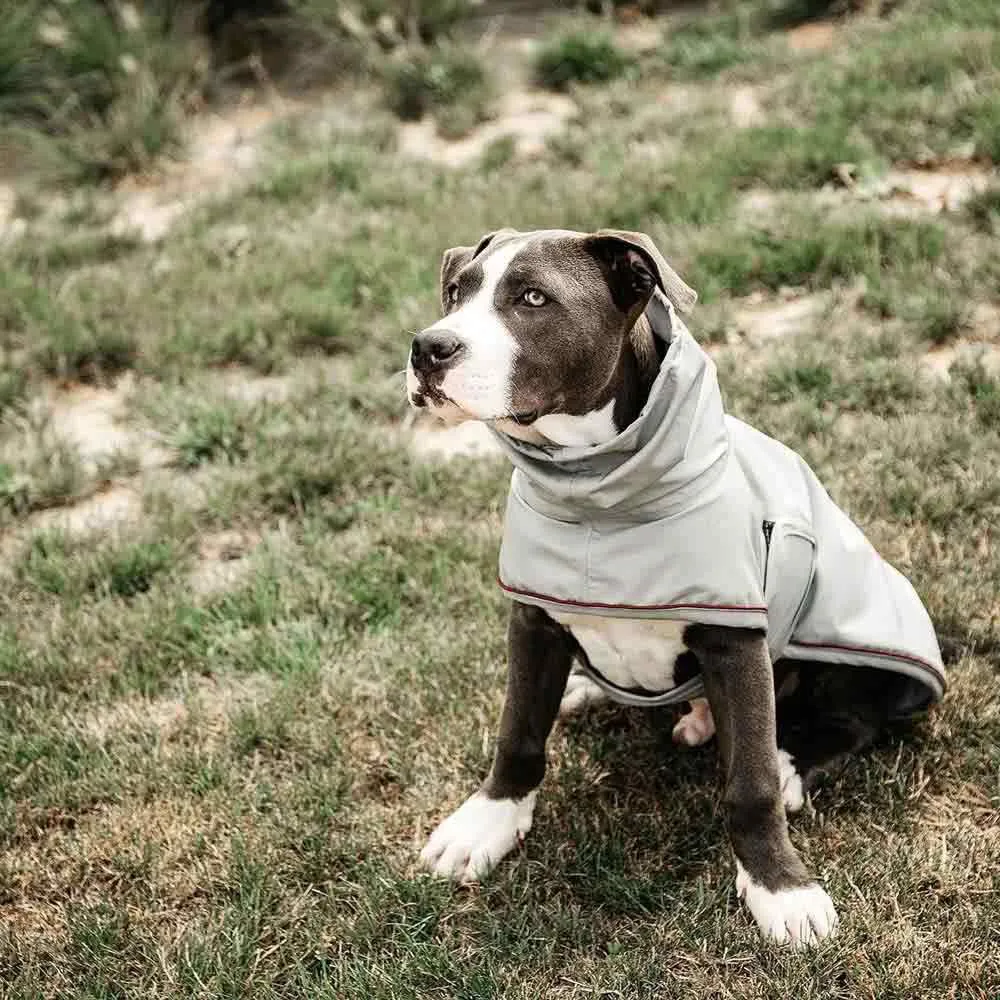 Kentucky Hunderegn Hundegenser Kentucky Hunderegn Hundegenser