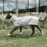 Kentucky Hunderegn Hundegenser