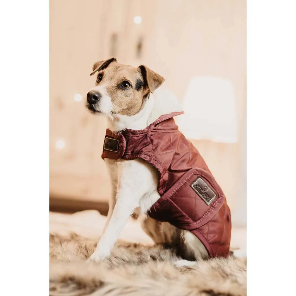 Kentucky Original Hundegenser