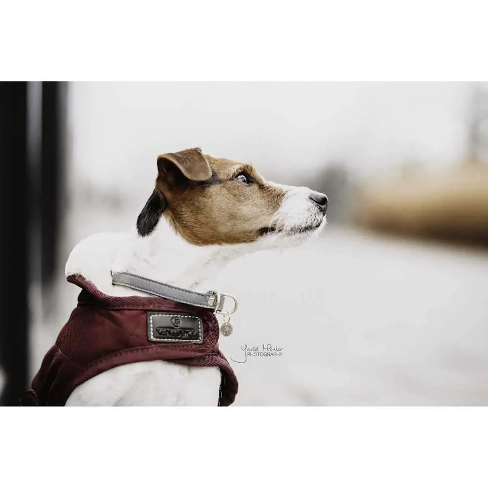 Kentucky Original Hundegenser