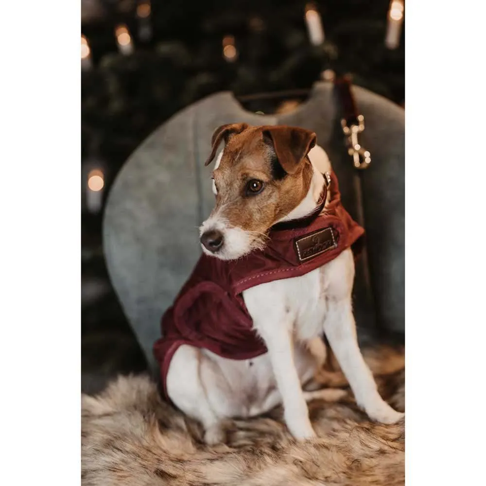 Kentucky Original Hundegenser