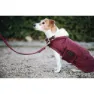 Kentucky Original Hundegenser