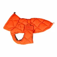 Kentucky Winter Pina Hundegenser