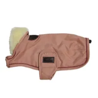 Kentucky Wp Hundegenser