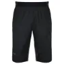 Kilpi Aldine Shorts