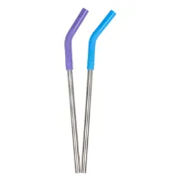 Klean Kanteen Straw 2-Pack