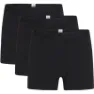 Knowledge Cotton Apparel Anker 3-Pack Underwear