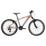 Kross Level 2.0 24´´ Tourney Terrengsykkel, Graphite / orange, One Size, Barnesykkel
