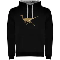 Kruskis Dino Run Two-colour Hetteskjorte