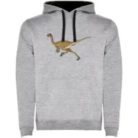 Kruskis Dino Run Two-colour Hetteskjorte
