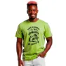 Light green 2