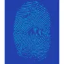 Kruskis Mountain Fingerprint Kortarmet T-skjorte