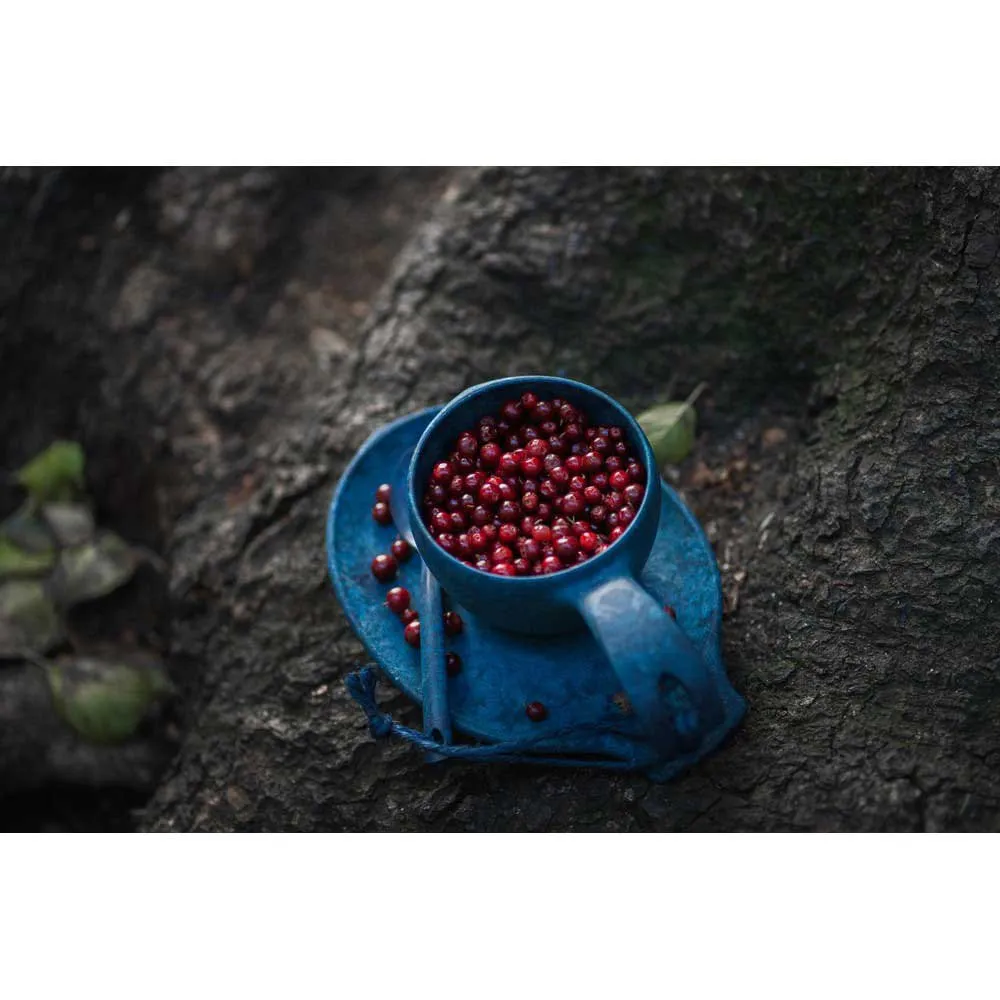 Kupilka Gavebokssett, Blueberry, One Size Kupilka Gavebokssett, Blueberry, One Size