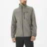 Castor grey