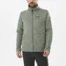 Castor grey