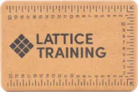Lattice Training Training Flex Block Lattice Training Training Flex Block