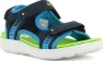 Navy/lime