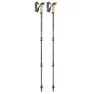 LEKI Cressida As Spaserstokker, Brown metallic / chocolate brown metallic / mint, 90-125cm