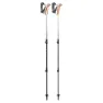 LEKI Jannu Spaserstokker, White / smokegreen / silver, 90-125cm