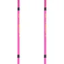 LEKI Ultratrail Fx.one Stolper