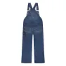 Levi's Baggy Overall