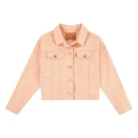 Levi's Baggy Trucker Jakke Levi's Baggy Trucker Jakke