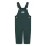 Levi's Carpenter Overall