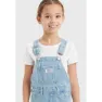 Levi's Classical Overall