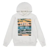 Levi's Landscape Box Hetteskjorte