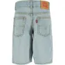 Levi's Skate Shorts