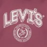 Levi's Stripe On Hetteskjorte