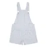 Levi's Utility Stripeall Overall