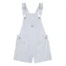 Levi's Utility Stripeall Overall
