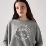 Levi's Western Bubble Langarmet T-skjorte