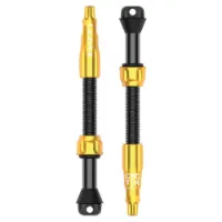 Lezyne Pro Tubeless 60 Mm Ventiler
