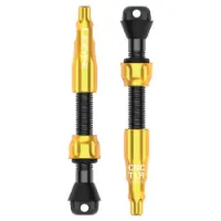 Lezyne TLR Valve Pro Tubeless Ventiler